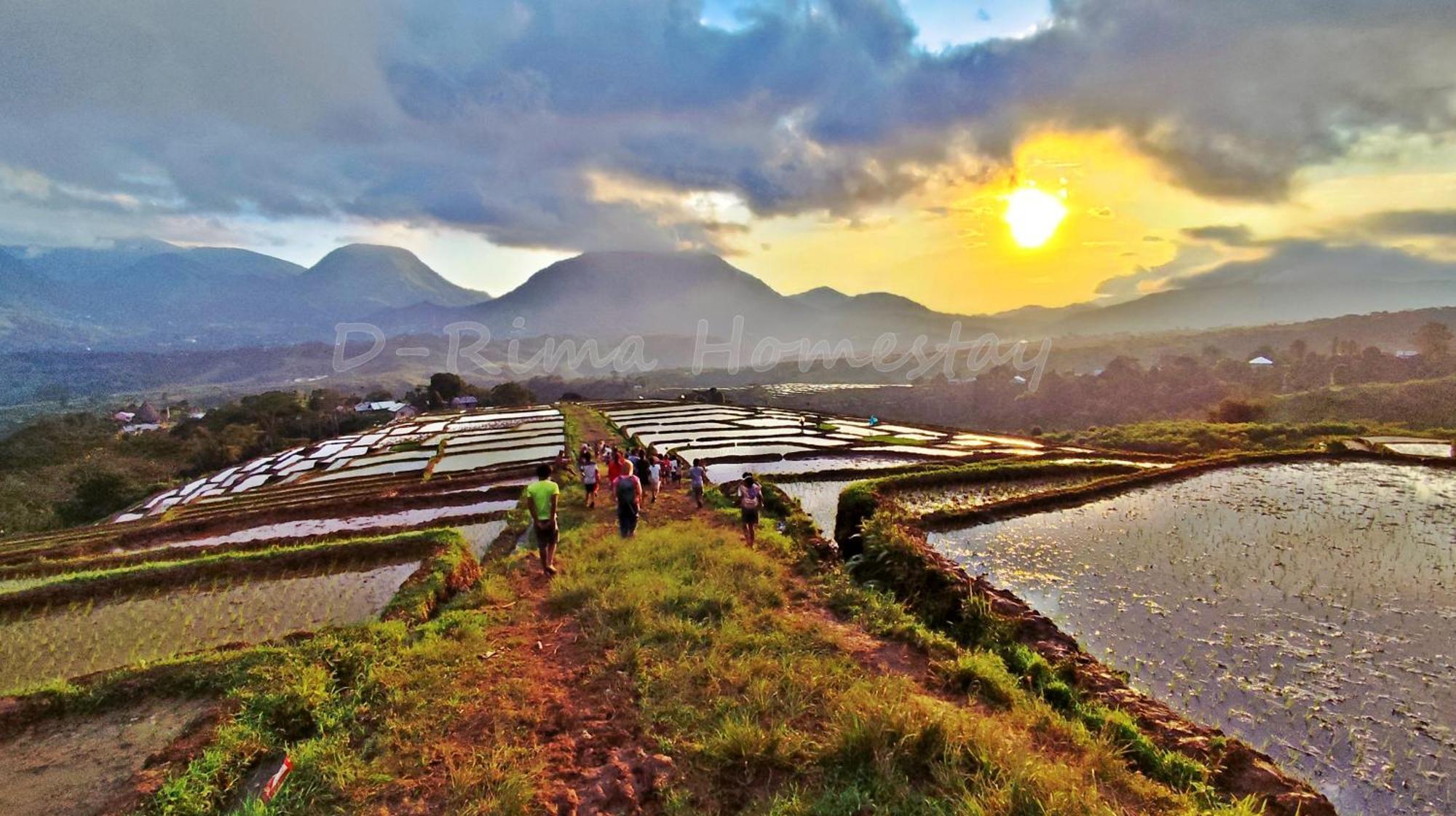 D-Rima Homestay Ruteng Dış mekan fotoğraf